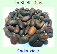 Order Raw in Shell