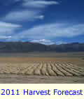 Update 2011 Harvest